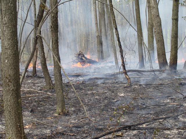 Working Brush Fire S. Sandy Hill Rd. April 24, 2012